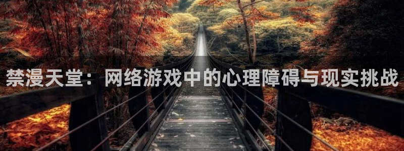 拷贝漫画 copymanager.ory网站：禁漫天堂：网络游戏中的心理障碍与现实挑战