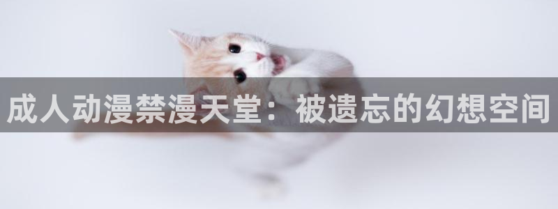 age专注动漫的门户网站：成人动漫禁漫天堂：被遗忘的幻想空间