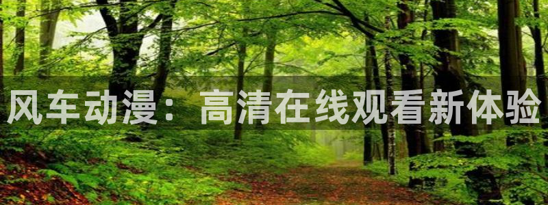 韩漫漫画网下载：风车动漫：高清在线观看新体验