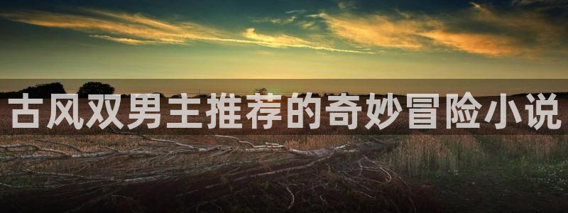 韩漫漫画下载入口：古风双男主推荐的奇妙冒险小说
