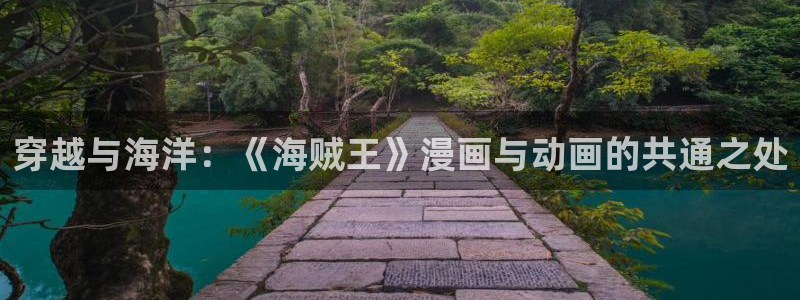 韩漫漫画官网版入口：穿越与海洋：《海贼王》漫画与动画的共通之处