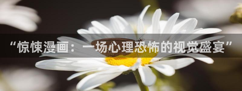 在线动画动漫下载韩漫漫画：“惊悚漫画：一场心理恐怖的视觉盛宴”