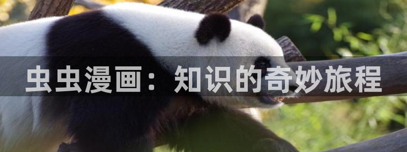age漫画网：虫虫漫画：知识的奇妙旅程