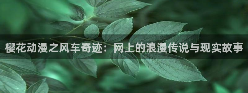 韩漫漫画正版网：樱花动漫之风车奇迹：网上的浪漫传说与现实故事
