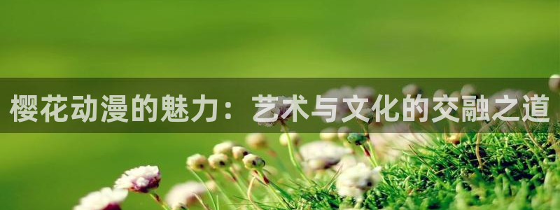 age樱花动漫：樱花动漫的魅力：艺术与文化的交融之道