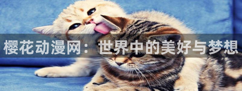 stagenehind韩漫免费观看：樱花动漫网：世界中的美好与梦想