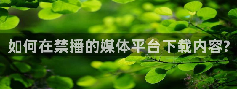 age专注动漫的门户网站：如何在禁播的媒体平台下载内容?