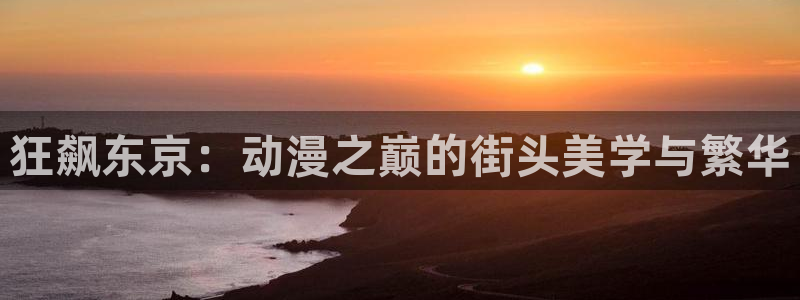 拷贝漫画 copymanager.ory网站：狂飙东京：动漫之巅的街头美学与繁华