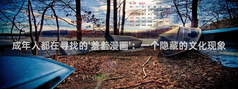 韩国漫画平台kakaopage：成年人都在寻找的\'羞羞漫画\'：一个隐藏的文化现象