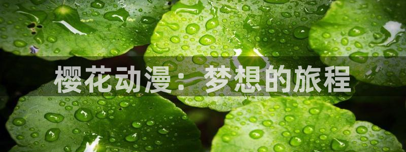 韩漫漫画官网网址：樱花动漫：梦想的旅程