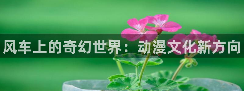 韩漫漫画官网版入口：风车上的奇幻世界：动漫文化新方向