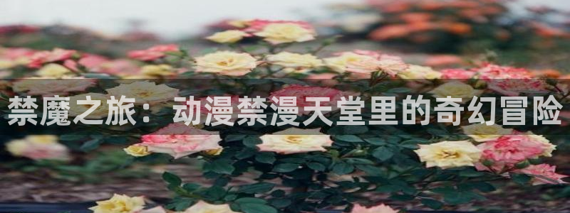 colamanage漫画：禁魔之旅：动漫禁漫天堂里的奇幻冒险