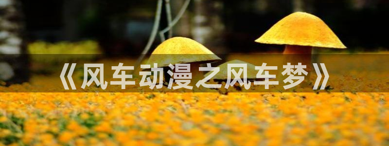 韩漫漫画官网在线入口：《风车动漫之风车梦》
